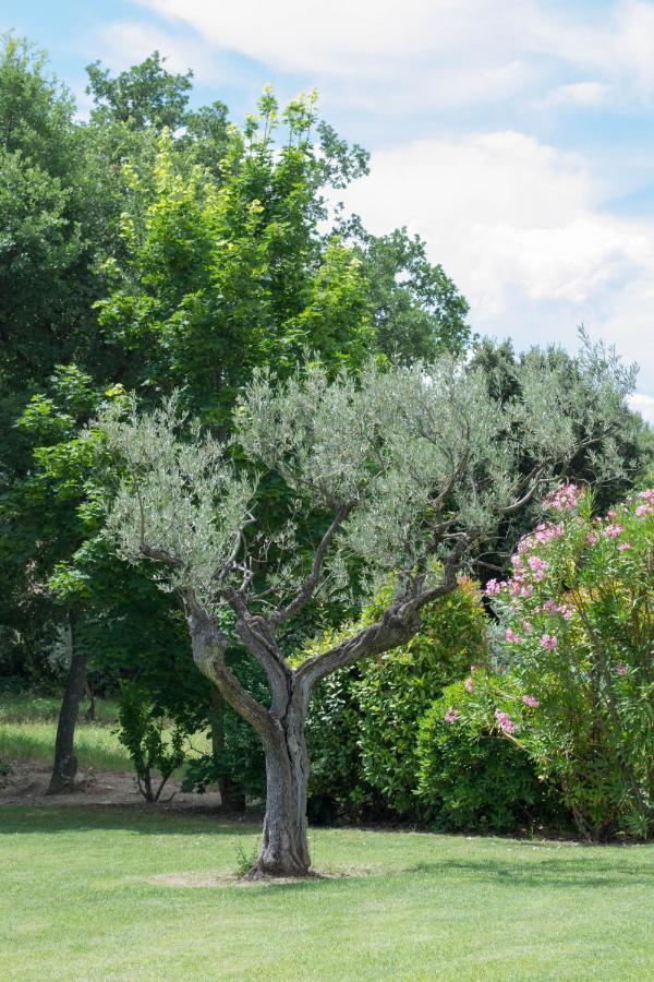 Le Bouquet De L Aromate Joucas Exterior foto